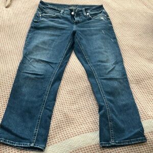 Silver Jeans Blue Ankle Cropped Denim